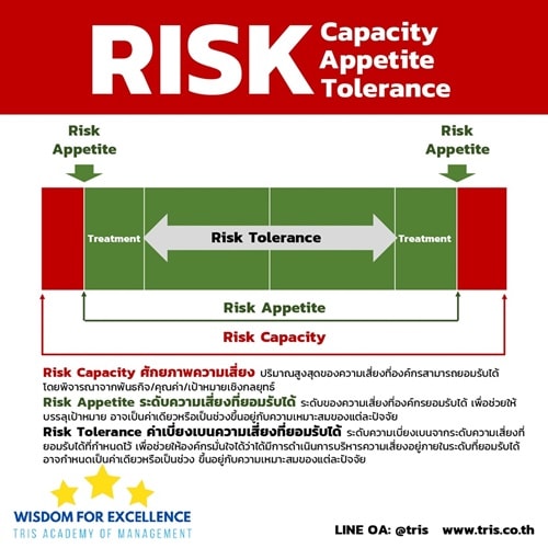 Risk Capacity And Risk Appetite Example